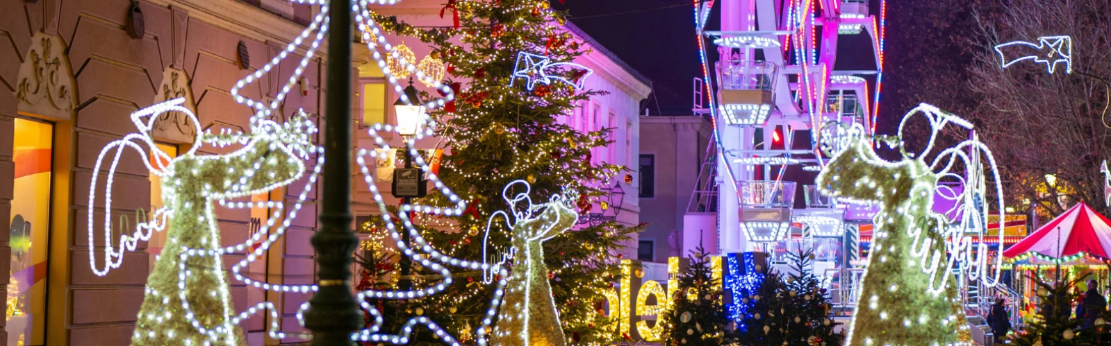 Best Events in San Simeon, California: Seasonal Festivals & Coastal Celebrations