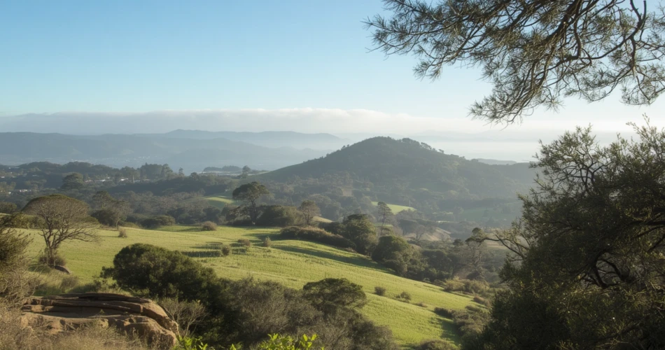 Best Things to Explore in San Simeon, California: Nature, History & Scenic Ocean Views