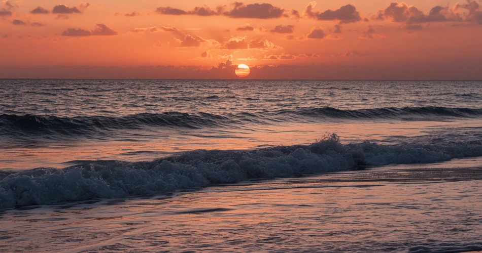 Best Things to Explore in San Simeon, California: Nature, History & Scenic Ocean Views