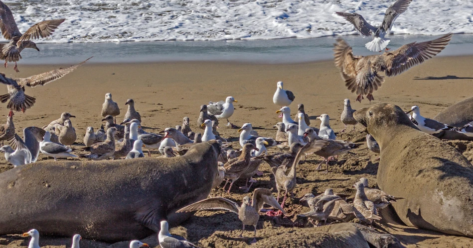 Best Family-Friendly Things to Do in San Simeon for All Ages